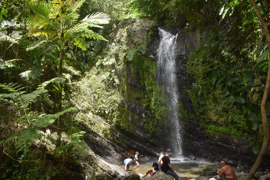 Surf & Yoga Retreat -- Aguadilla, Puerto Rico